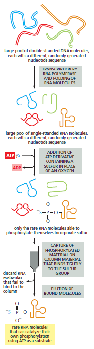 Figure 6-91.png